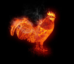 The Year Of The Fire Rooster - Happy Chinese New Year!