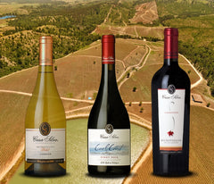 Casa Silva Chilean Wine