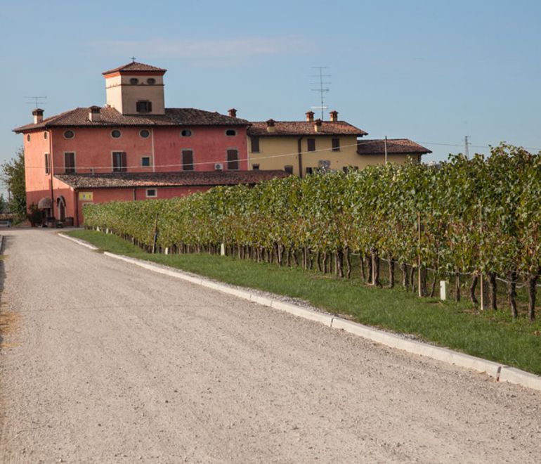 A Tasty Trio of New Italian Wine