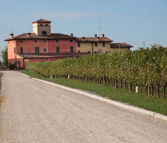 A Tasty Trio of New Italian Wine