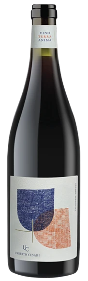Umberto Cesari, Emilia Romagna, Amphora Sangiovese