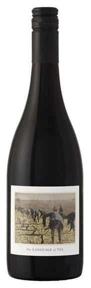 Language of Yes, Santa Maria Valley, Grenache