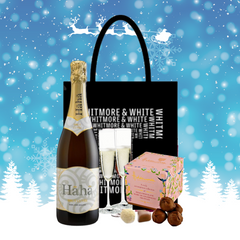 Classic Christmas Fizz Gift Bag