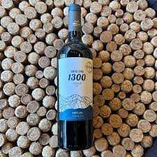 Andeluna Malbec 1300