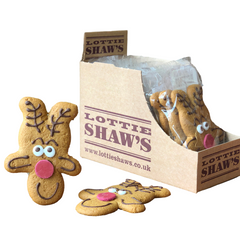 Lottie Shaw's Gingerbread Reindeer